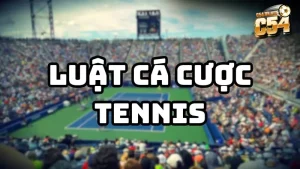 Cá cược tennis ngày càng phổ biến thu hút đông đảo người chơi