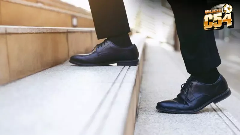 Đại lý C54 Gia nhập hệ thống đại lý C54 dễ dàng chỉ trong vài thao tác