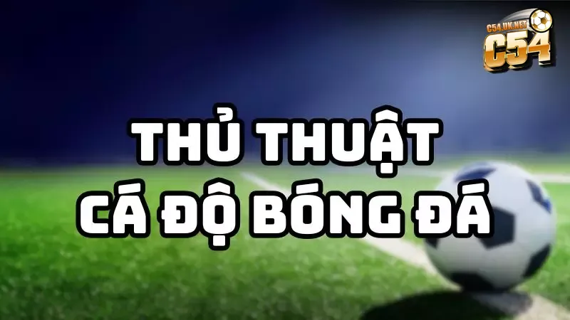 Hiểu rõ bản chất để áp dụng thủ thuật cá độ bóng đá hiệu quả và hạn chế rủi ro