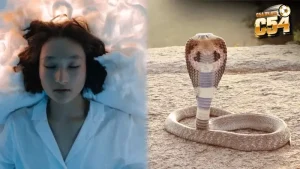 Mỗi giấc mơ thấy rắn đều ẩn chứa một con số riêng mang đến nhiều cơ hội đổi vận