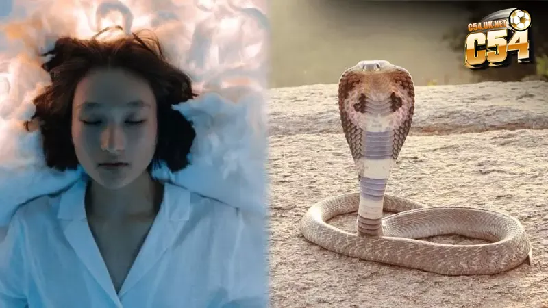 Mỗi giấc mơ thấy rắn đều ẩn chứa một con số riêng mang đến nhiều cơ hội đổi vận